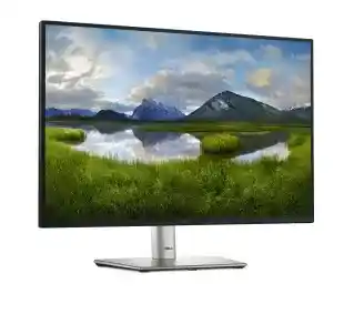 Dell P2425E 24 Full HD IPS 100Hz 5ms Monitor LED