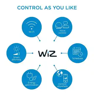 WiZ - Smart Plug Powermeter Type-F