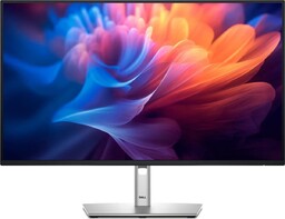 Monitor DELL P2425HE (23.8''/100Hz /1920 x 1080 /Czarno-srebrny)