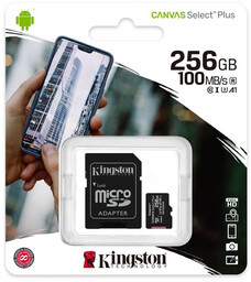 Karta pamięci 256GB Kingstone Canvas Select+