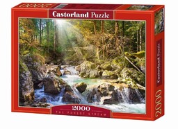 Castorland PUZZLE 2000 STRUMYK W LESIE CASTOR