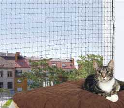 Ochrona sieci dla kotów - 4x3m / przezroczysty