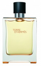 HERMES Terre D''Hermes EDT spray 100ml Tester