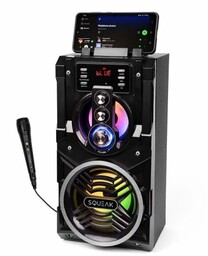 SQUEAK Głośnik Bluetooth 5.1 z karaoke 20W SQ1000