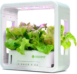 aspara SmartPot by GrowGreen Stylist Lite Smart Grower