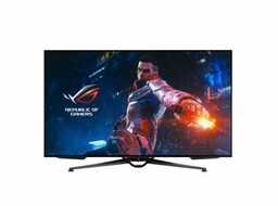 Asus Monitor 47,5 cali PG48UQ