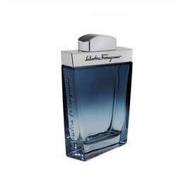 SALVATORE FERRAGAMO Subtil Pour Homme EDT spray 100ml