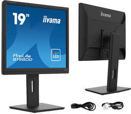 Monitor iiyama ProLite B1980D-B5 19'' TN LED, 5:4,