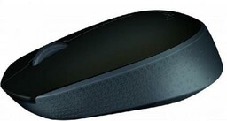 Logitech Mysz bezprzewodowa M171 Czarna 910-004424