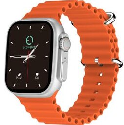 Ecowatch 2 Srebrny Smartwatch