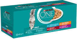 Pakiet mieszany PURINA ONE Adult, 40 x 85