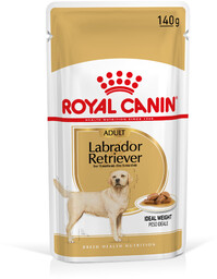 Royal Canin Labrador Retriever Adult, w sosie -