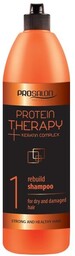 CHANTAL ProSalon Protein Therapy Szampon odbudowujący do włosów