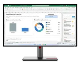 Lenovo ThinkVision P27h-30 (63A1GAT1EU) 27" 2K IPS 60Hz