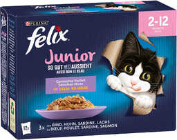 Felix Junior, w galarecie, So gut wie es