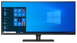 Monitor 39.7 ThinkVision P40w-20 Ultra-Wide Curved LCD 62DDGAT6EU