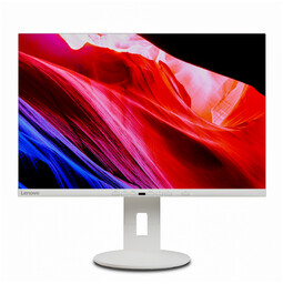 Lenovo C24d-20 24-inch Monitor