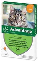 BAYER ADVANTAGE KOT roztwór na pchły 0,4ml x