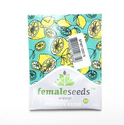 Nasiona konopi Female seeds - Lemon Kush (Fem.)