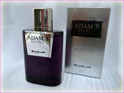 Blue Up Adam''s Secret, Toaletna voda 100ml (Atlernativa