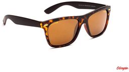 Bliz Okulary POLARIZED C