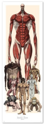 Plakat na drzwi Attack on Titan - Characters