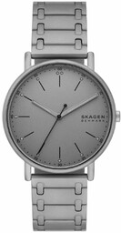 Zegarek Skagen Signatur SKW6913 Szary