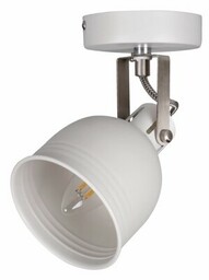 KANLUX Lampa sufitowa Derato EL-1O W-SR Biało-srebrny