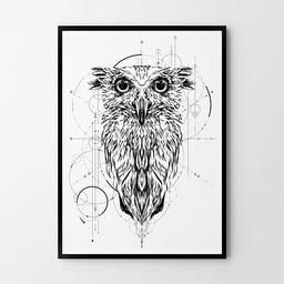 Sowa Harry''ego Pottera - plakat sowa geometria