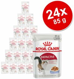 Megapakiet Royal Canin, 24 x 85 g -