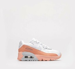 Nike Air Max 90 Ltr Se