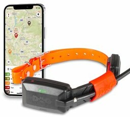 Dodatkowa obroża dla kolejnego psa - DOG GPS