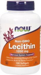 Now Foods Non Gmo Lecithin -Lecytyna Bez Gmo