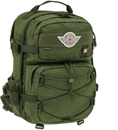 Plecak Wisport Sparrow 303 30 l - Olive