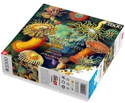 CENEGA Puzzle Imagination Ernst Haeckel Stworzenia morskie (1000