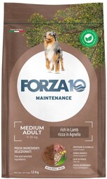 FORZA10 Medium Adult Maintenance Lamb Rice 12 kg