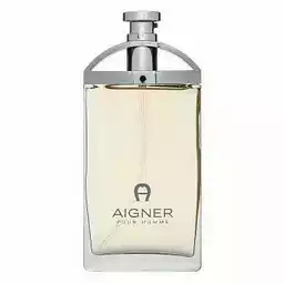 Aigner Pour Homme woda toaletowa 100 ml