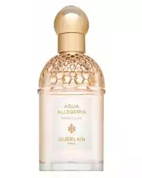 Aqua Allegoria Pamplelune