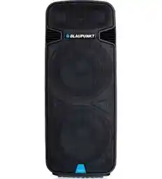 Blaupunkt PA25 160W Czarny