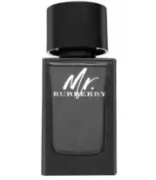 Burberry Mr. Burberry woda perfumowana 100 ml