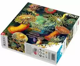 CENEGA Puzzle Imagination Ernst Haeckel Stworzenia morskie (1000 elementów)