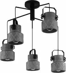 Eglo Lampa wisząca HILCOTT 39856