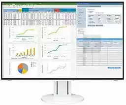 Eizo FlexScan EV2457 Biały 24 cale Full HD IPS 60Hz 5ms monitor LED