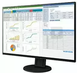 Eizo FlexScan EV2457 Czarny 24 cale Full HD IPS 60Hz 5ms monitor LED