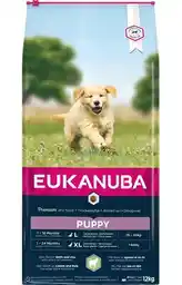 Eukanuba Puppy Large & Giant Breed, jagnięcina i ryż - 12 kg