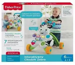 FISHER PRICE Pchacz dla dziecka Zebra DPL53