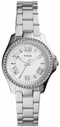 Fossil AM4576