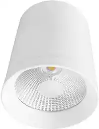 Light Prestige Zovo 1 oprawa natynkowa biała LP-32015/1SM WH