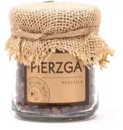 ŁYSOŃ Pierzga pszczela 100g