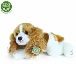 Rappa Pluszowy leżący pies Cavalier King Charles Spaniel, 30 cm